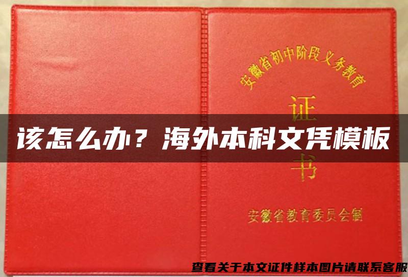 该怎么办？海外本科文凭模板