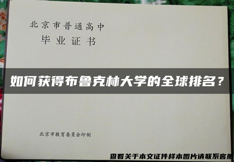 如何获得布鲁克林大学的全球排名？