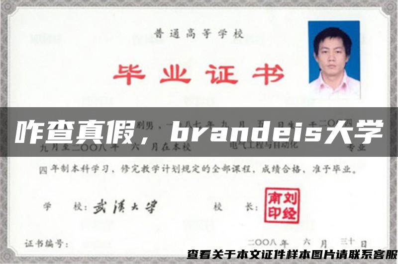 咋查真假，brandeis大学