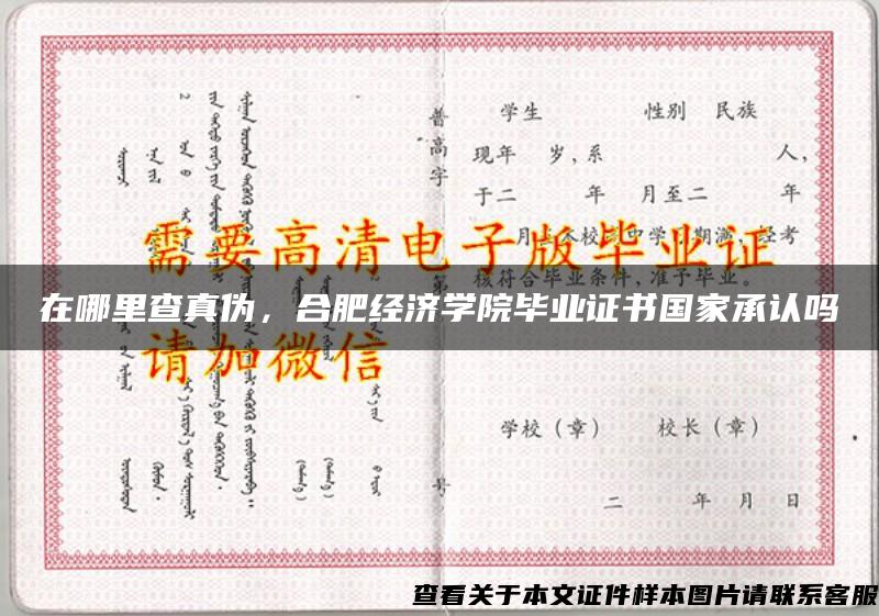 在哪里查真伪，合肥经济学院毕业证书国家承认吗