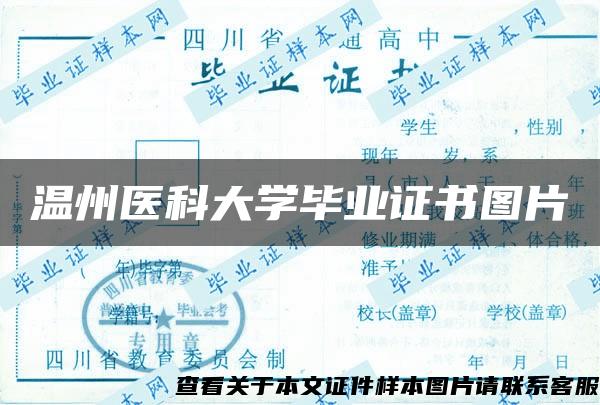 温州医科大学毕业证书图片