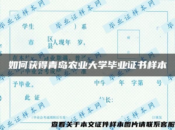 如何获得青岛农业大学毕业证书样本