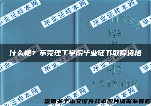 什么梗？东莞理工学院毕业证书取得资格