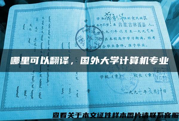 哪里可以翻译，国外大学计算机专业