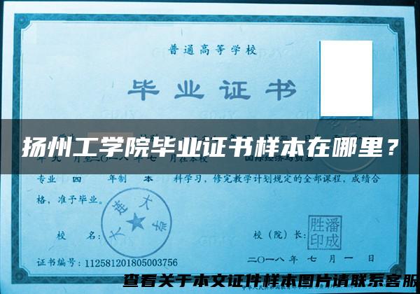 扬州工学院毕业证书样本在哪里？