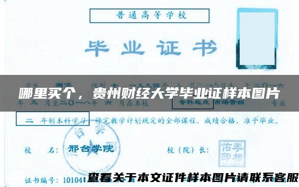 哪里买个，贵州财经大学毕业证样本图片