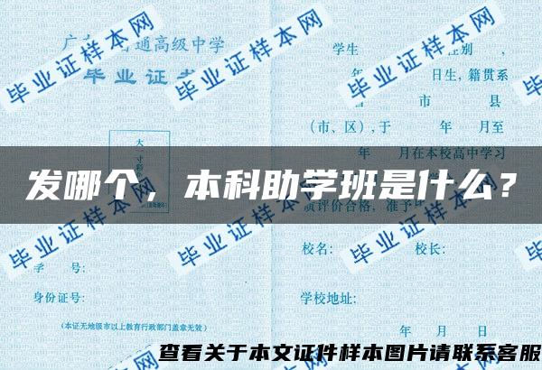 发哪个，本科助学班是什么？