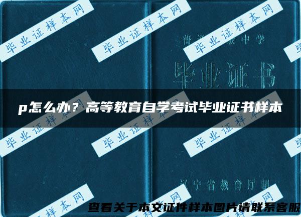 p怎么办？高等教育自学考试毕业证书样本