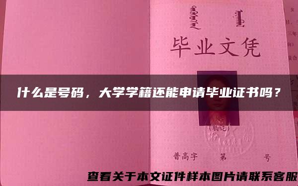 什么是号码，大学学籍还能申请毕业证书吗？