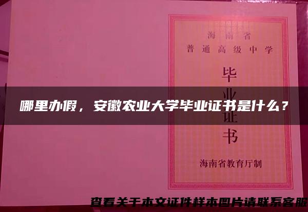 哪里办假，安徽农业大学毕业证书是什么？