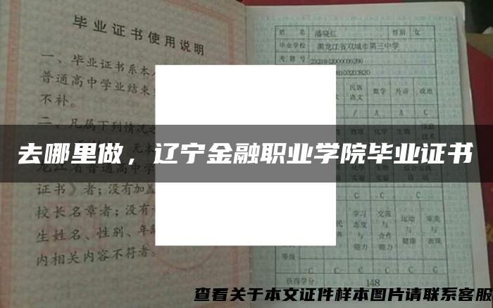 去哪里做，辽宁金融职业学院毕业证书