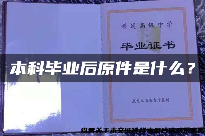 本科毕业后原件是什么？