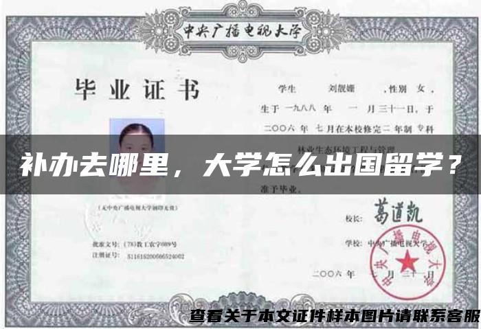 补办去哪里，大学怎么出国留学？