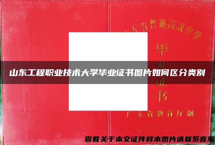 山东工程职业技术大学毕业证书图片如何区分类别