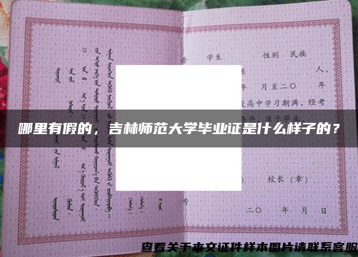 哪里有假的，吉林师范大学毕业证是什么样子的？