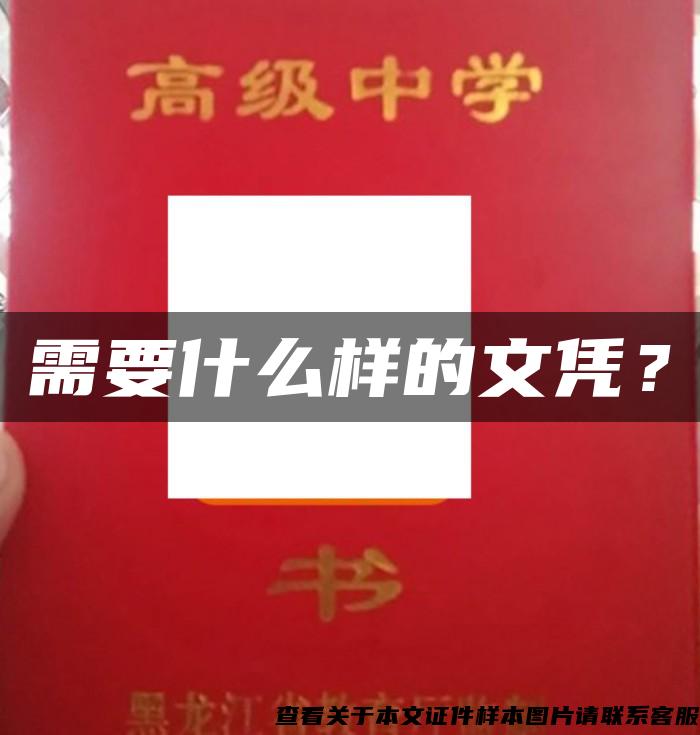 需要什么样的文凭？