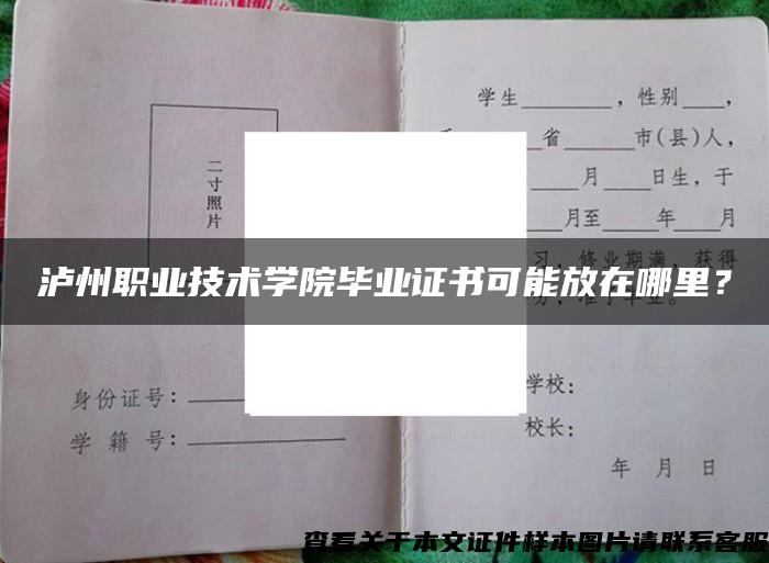 泸州职业技术学院毕业证书可能放在哪里？