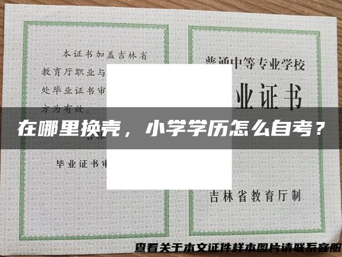 在哪里换壳，小学学历怎么自考？