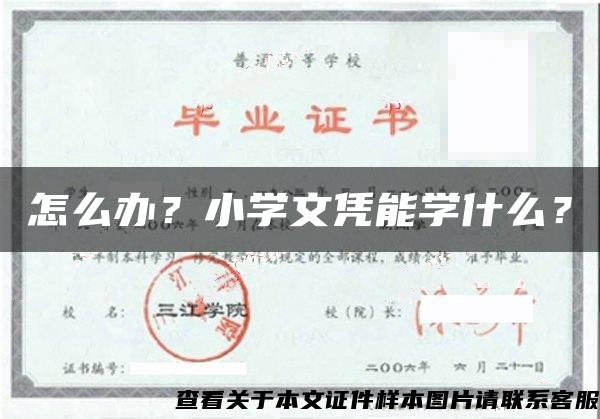 怎么办？小学文凭能学什么？