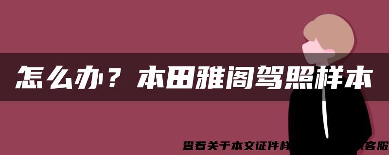 怎么办？本田雅阁驾照样本