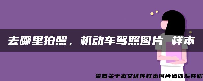 去哪里拍照，机动车驾照图片 样本