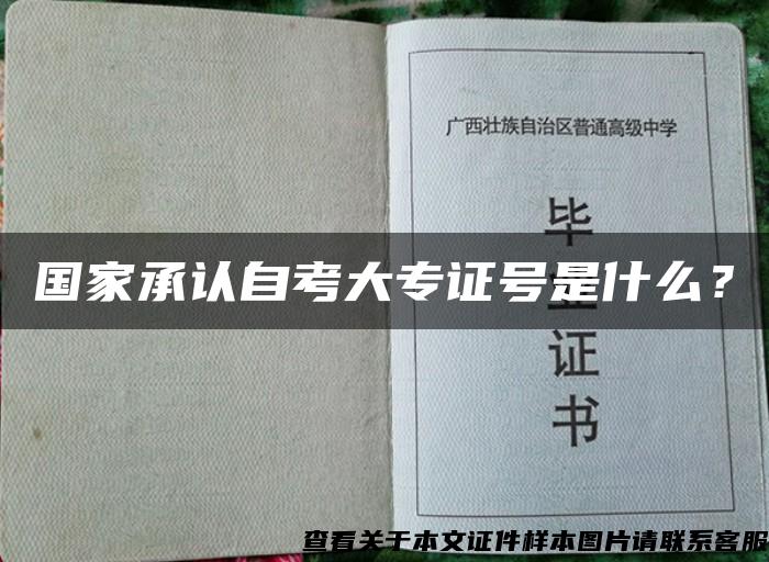 国家承认自考大专证号是什么？