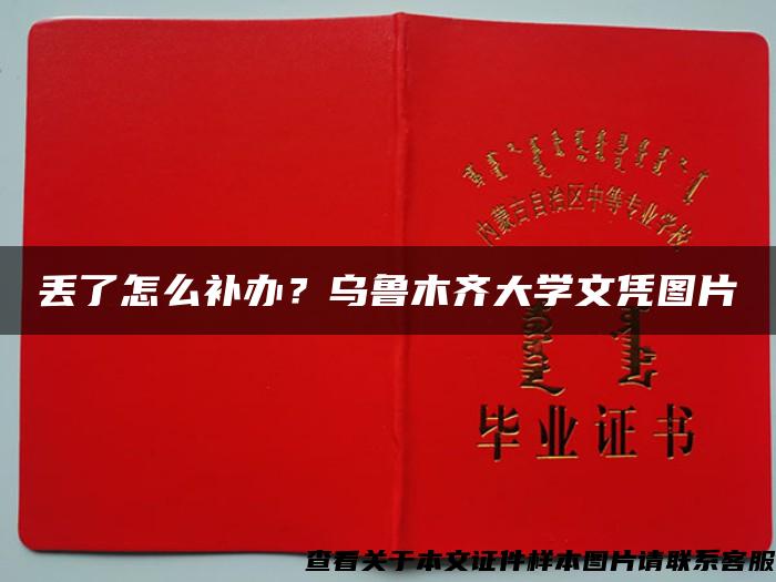 丢了怎么补办？乌鲁木齐大学文凭图片