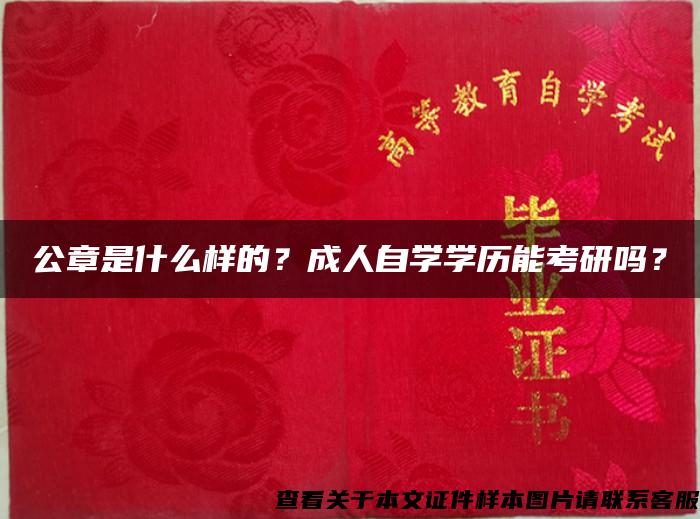 公章是什么样的？成人自学学历能考研吗？