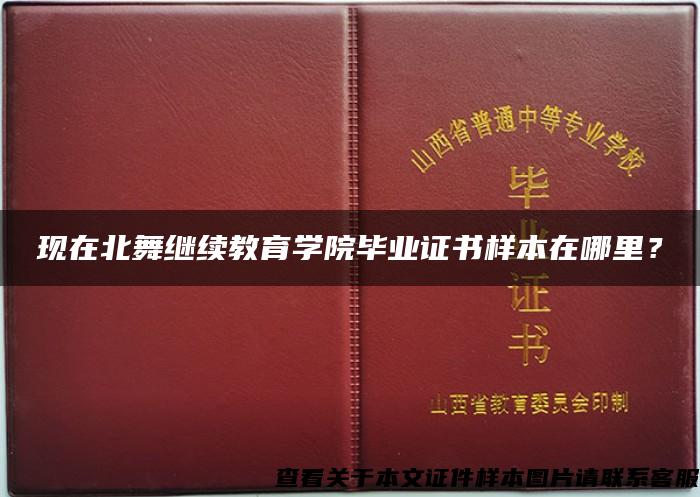 现在北舞继续教育学院毕业证书样本在哪里？