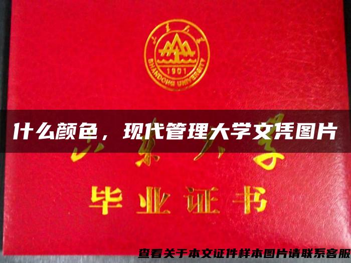 什么颜色，现代管理大学文凭图片