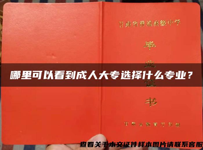 哪里可以看到成人大专选择什么专业？