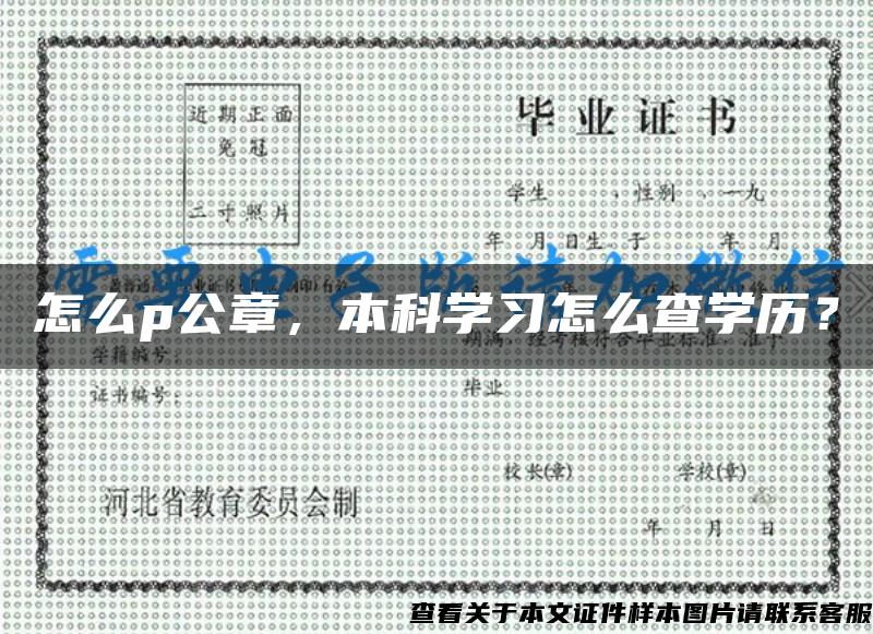 怎么p公章，本科学习怎么查学历？