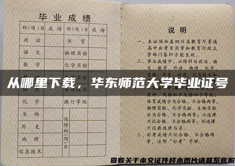 从哪里下载，华东师范大学毕业证号