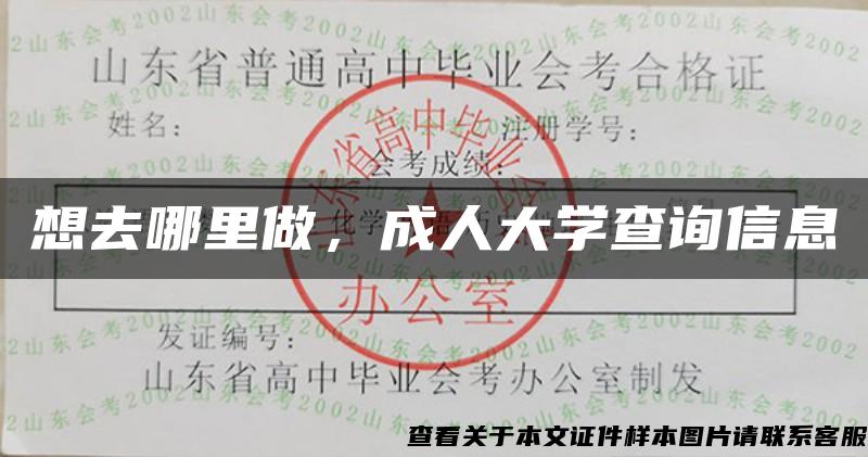 想去哪里做，成人大学查询信息