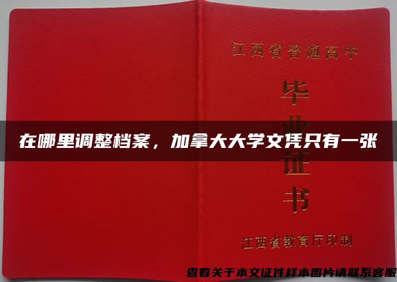 在哪里调整档案，加拿大大学文凭只有一张