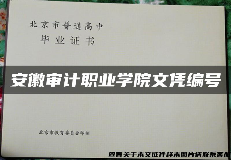 安徽审计职业学院文凭编号