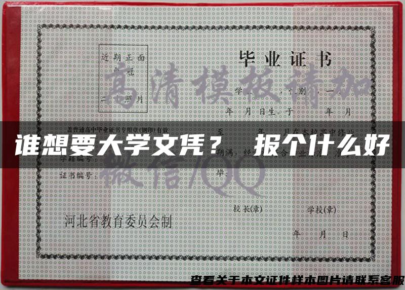 谁想要大学文凭？ 报个什么好