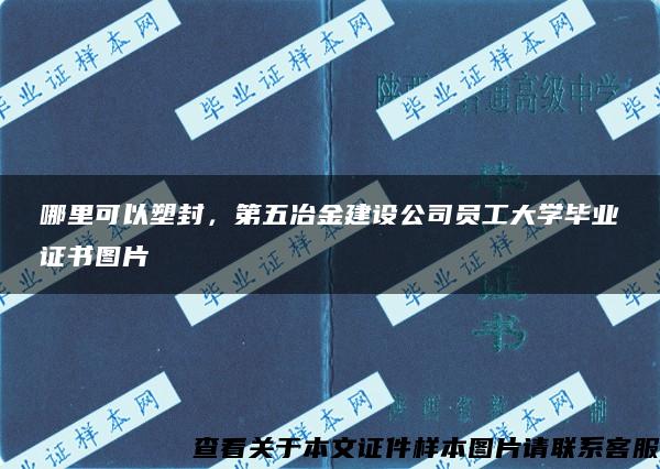 哪里可以塑封，第五冶金建设公司员工大学毕业证书图片