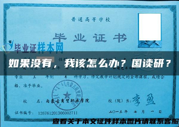 如果没有，我该怎么办？国读研？