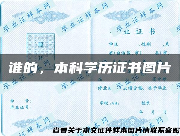 谁的，本科学历证书图片