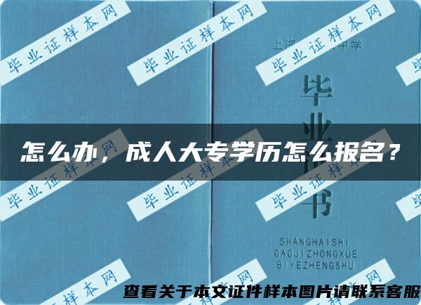 怎么办，成人大专学历怎么报名？