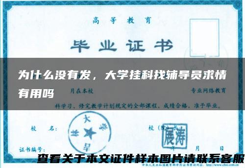 为什么没有发，大学挂科找辅导员求情有用吗