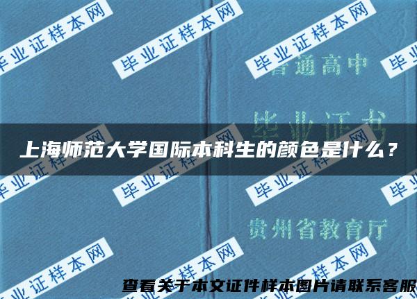 上海师范大学国际本科生的颜色是什么？