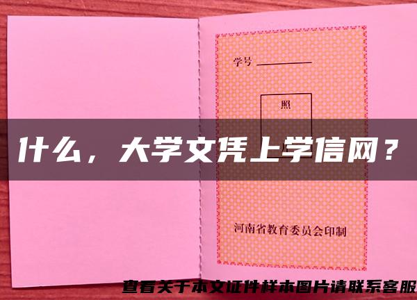 什么，大学文凭上学信网？