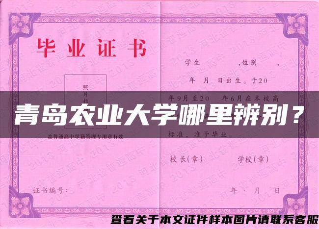 青岛农业大学哪里辨别？