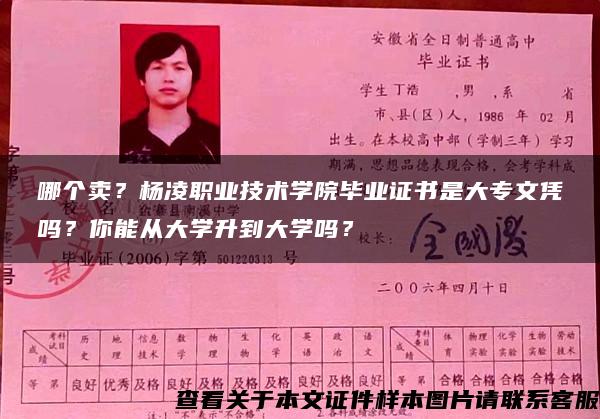 哪个卖？杨凌职业技术学院毕业证书是大专文凭吗？你能从大学升到大学吗？