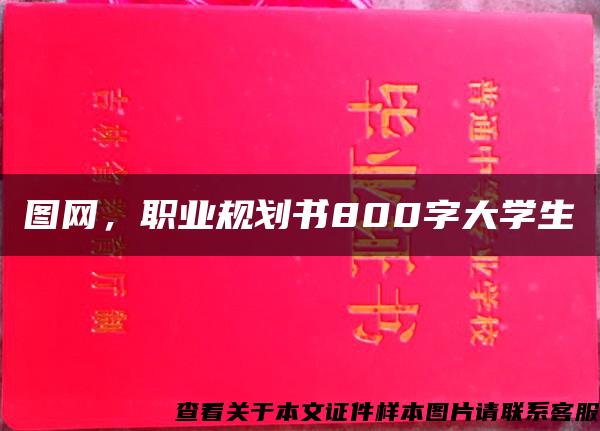 图网，职业规划书800字大学生