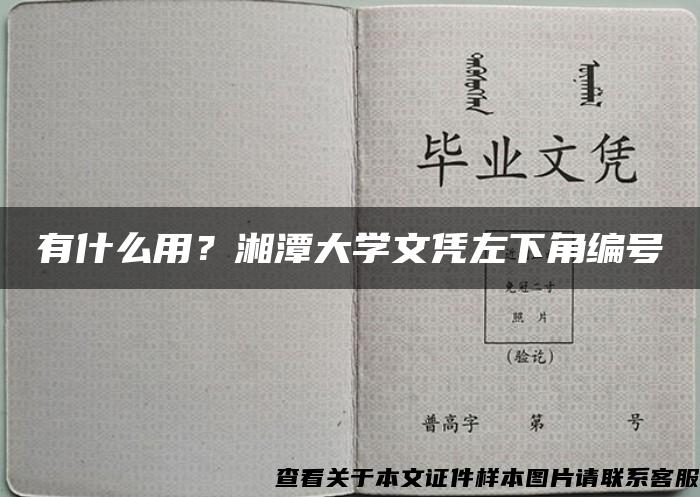 有什么用？湘潭大学文凭左下角编号