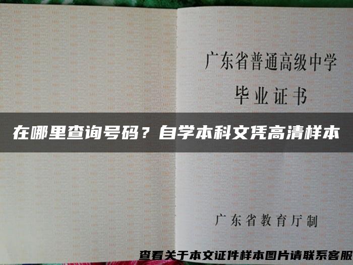 在哪里查询号码？自学本科文凭高清样本