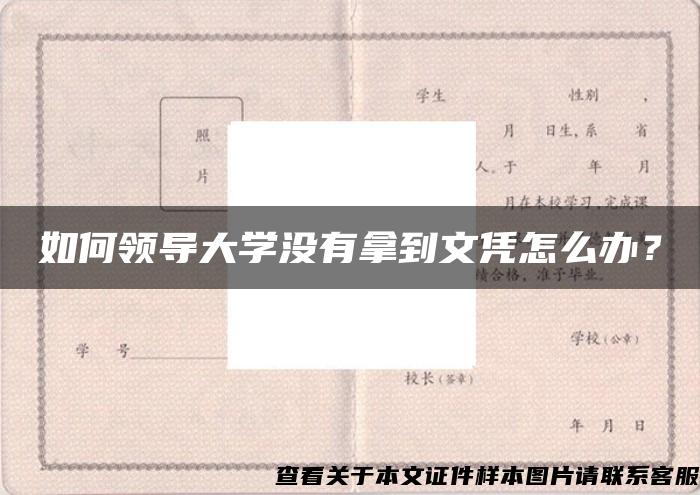 如何领导大学没有拿到文凭怎么办？